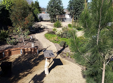 Murnong First People's Gathering Place